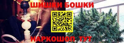 шишки Нальчик