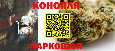 шишки Нальчик
