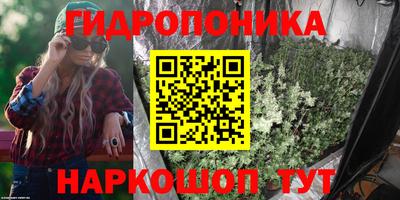 шишки Нальчик