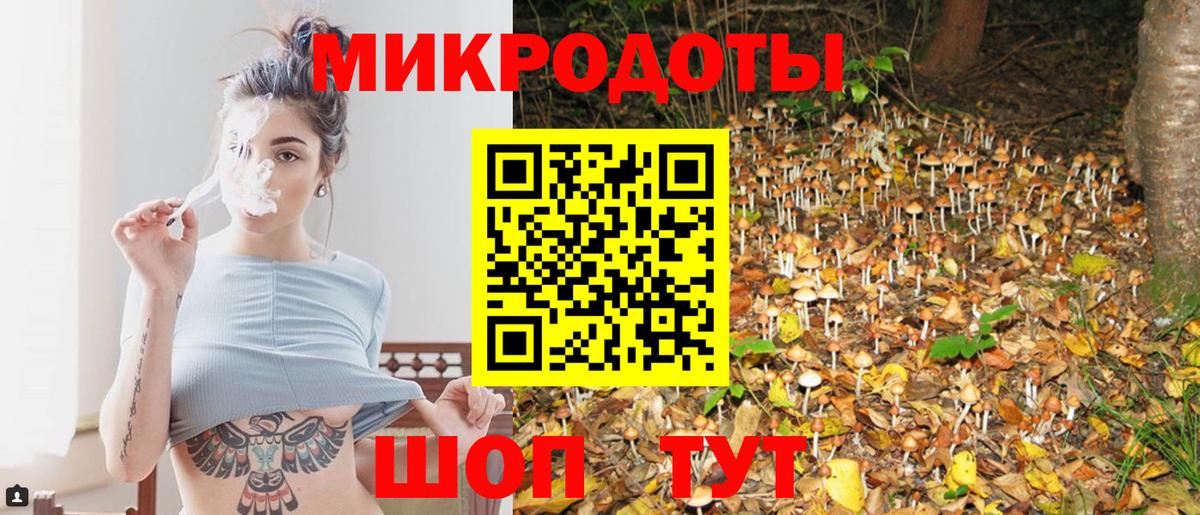Тамбов  где можно купить   Вход с VPN  Галлюциногенные грибы Psilocybe 