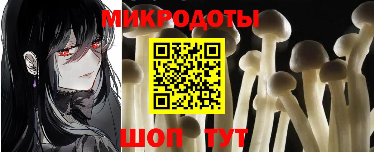 Псилоцибиновые грибы Psilocybe Тамбов